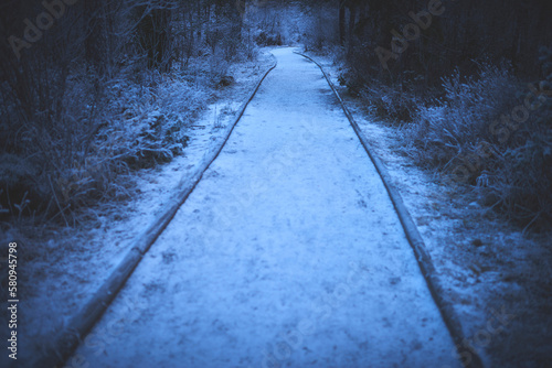 Snow covered pathway at Ordesa National Park photo