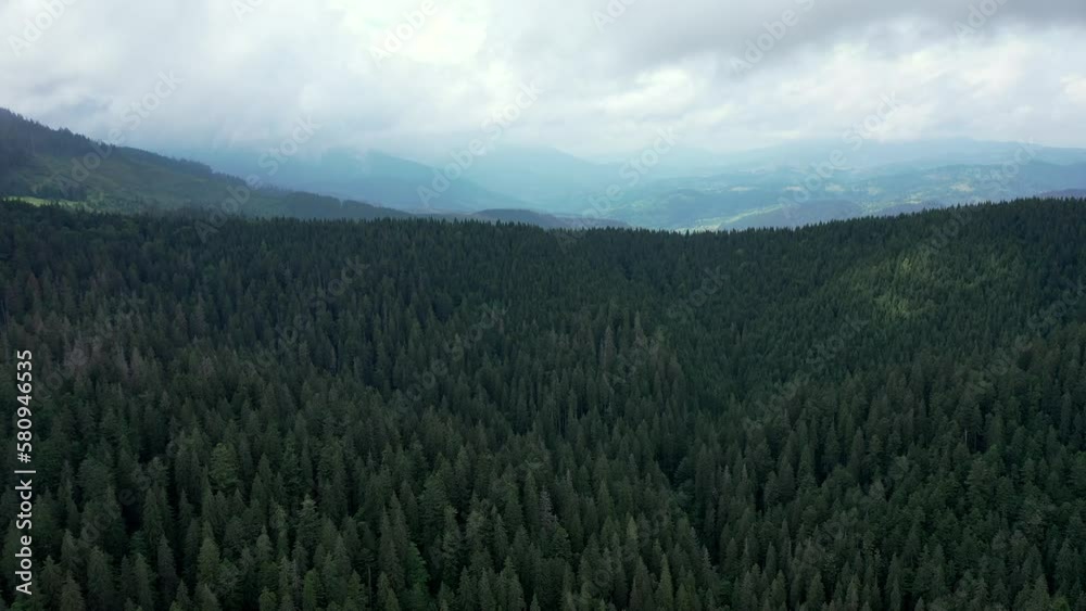 Aerial View of Synevyr Lake in Carpathians, Ukraine, Europe Aerial View of Synevyr Lake in Carpathians, Ukraine, Europe