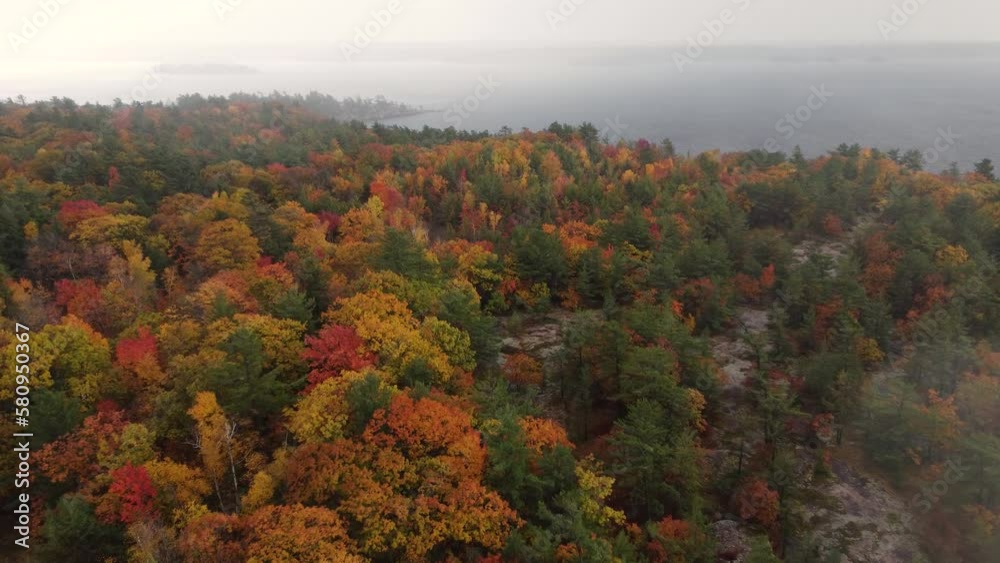 beautiful drone flight over a wooded coastal area in full autumn colors. beautiful drone flight over a wooded coastal area in full autumn colors.