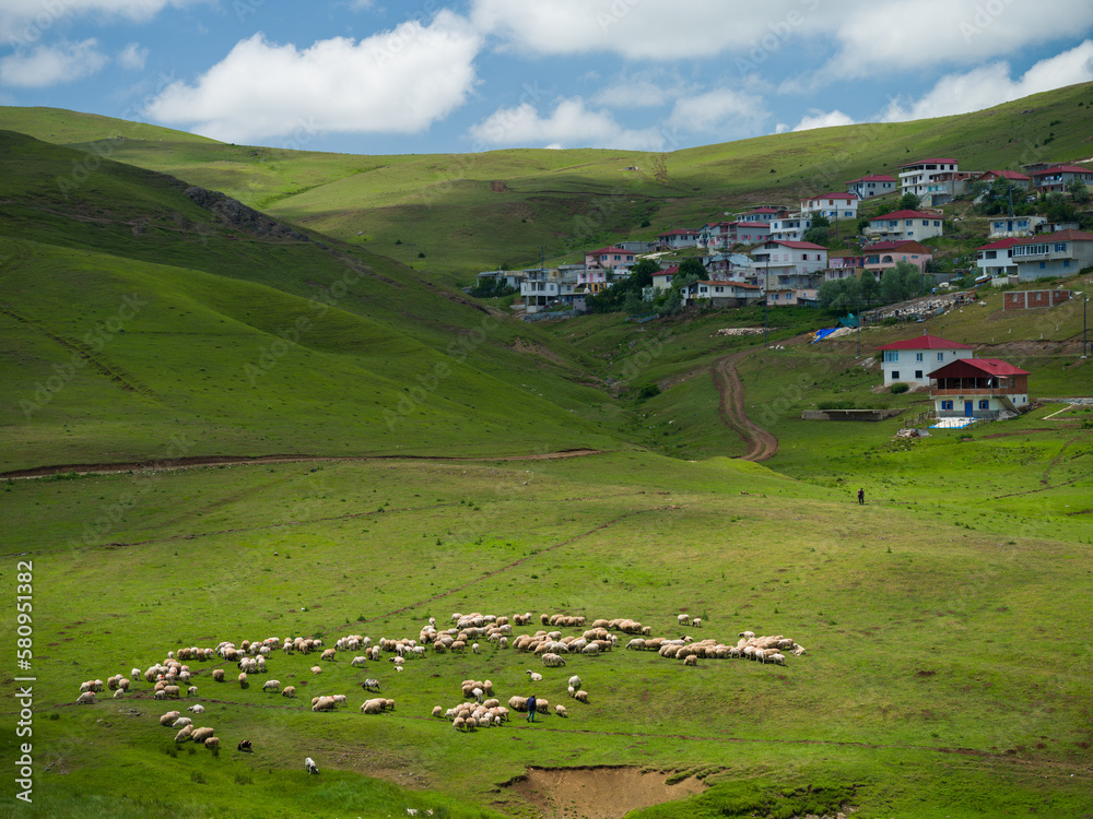 Life on the Persembe plateau. Beautiful highlands of Ordu province. Turkey 