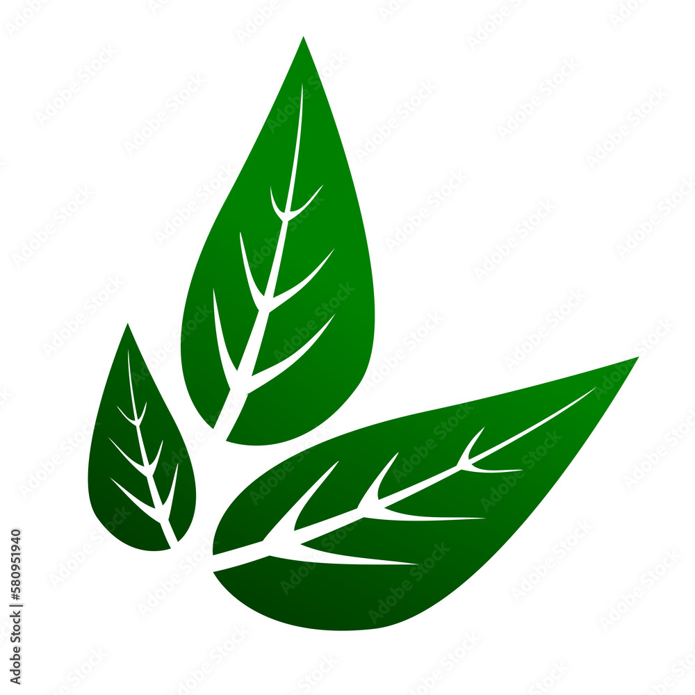 green leaves isolated on white background green leaves isolated on white background