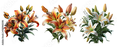 Three bouquets of bright lilys on a transparent background, Generative AI