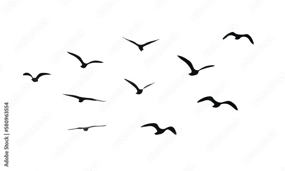 Naklejka premium flock of birds