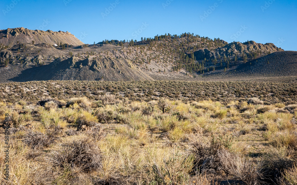 Arid Landscape of Mono-Inyo Craters