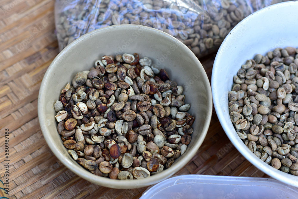 Low quality raw coffee beans. Coffee bean with defect, low grade. Low quality raw coffee beans. Coffee bean with defect, low grade.