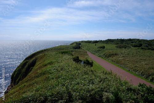 城ヶ島の風景