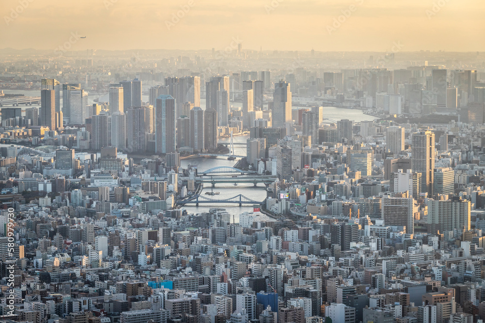 Tokyo from above at sunset in Japan.