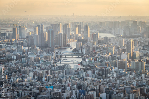 Photography Tokyo from above at sunset in Japan.