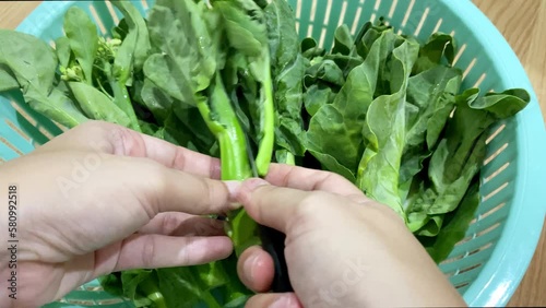 Woman chopping kailaan or chinese kale for cooking. photo