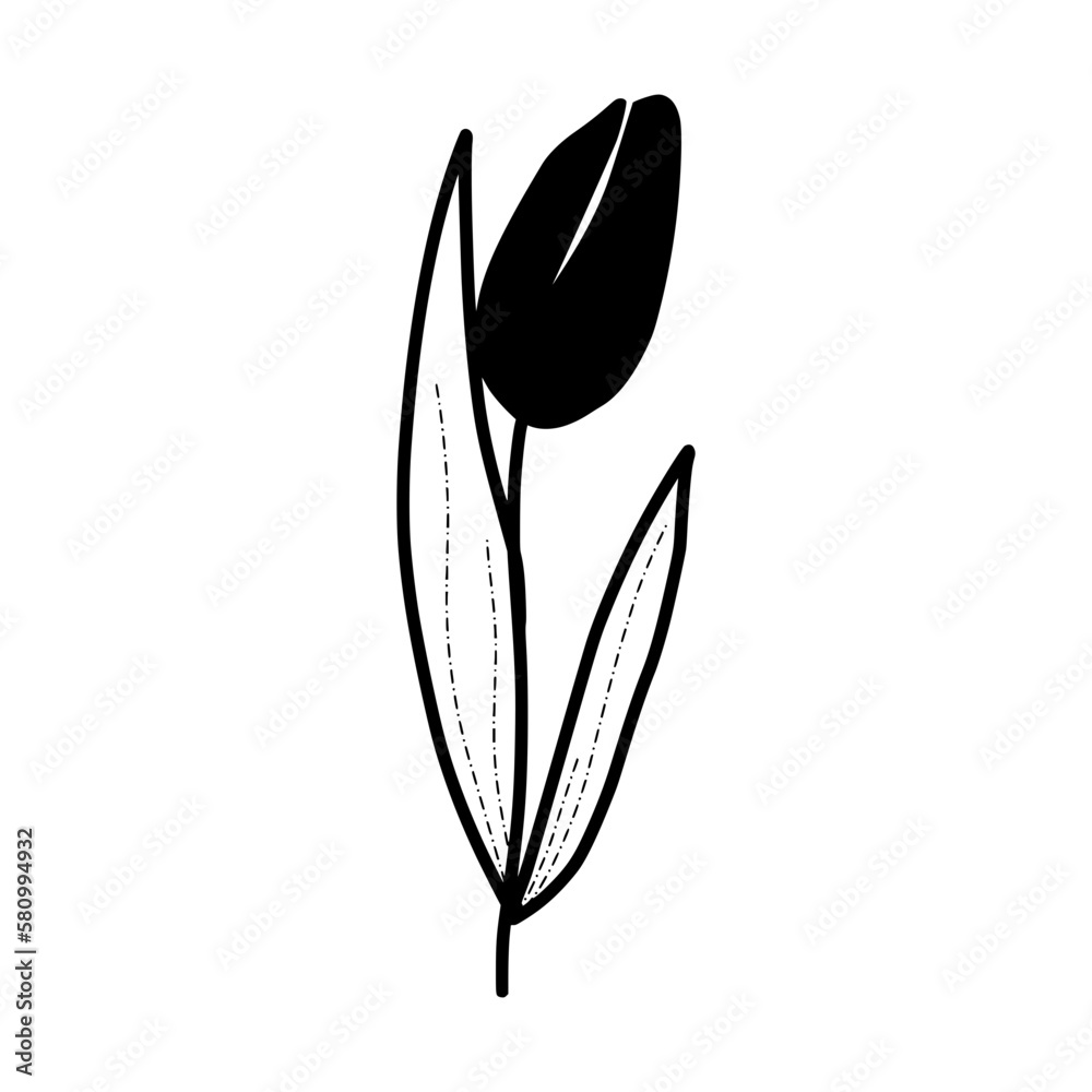 Tulip Flowers Sketch Tulip Flowers Sketch