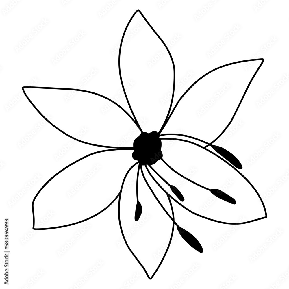 Flowers Sketch Flowers Sketch