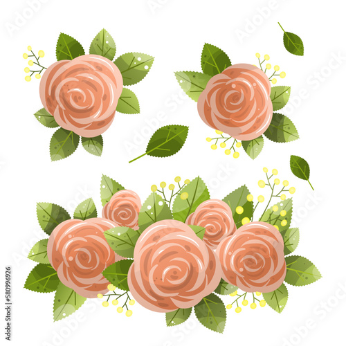 Pink vector roses and green leave elements set isolated on the white background for floral decoration.