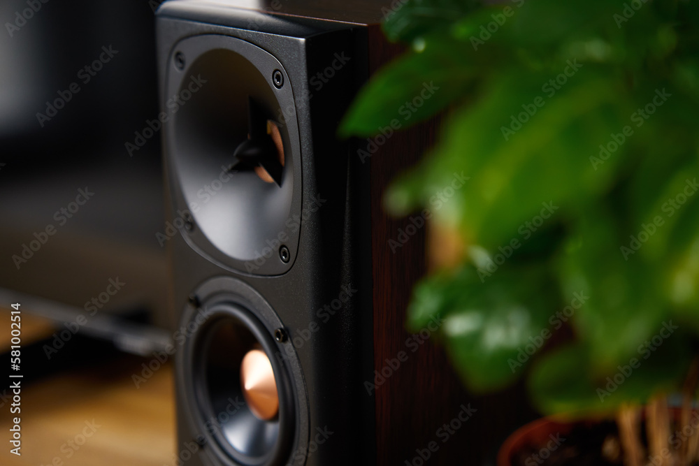 Sound speaker in living room interior. Set for listening music. Audio equipment Sound speaker in living room interior. Set for listening music. Audio equipment