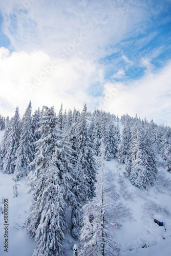 Snow covered trees in the mountains. Picturesque winter scene. Magic winter forest. Natural landscape with beautiful sky. Happy New Year!