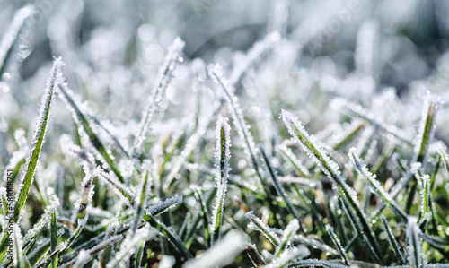 Frost on the grass background © Alekss