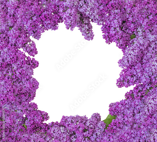 Wreath and lilac flowers . PNG Isolate on white. 
