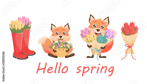 Spring greeting card with cute fox, flowers. Vector fox and flowers character set. Animal wildlife holidays cartoon.