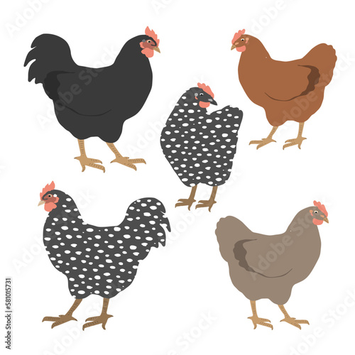 Set cute chickens isolated on white. Colorful hen and rooster. Vector graphic illustration