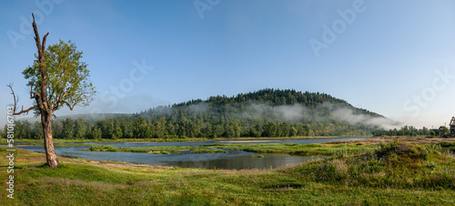 trees near the mountain river. Panorama of the morning view of the mystical forest in the fog, mountain landscape