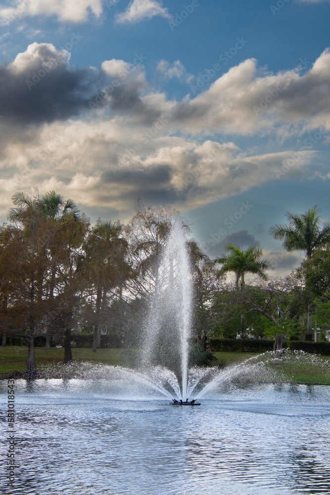 View of a small lake in the heart of a nice park in a city in Florida in the United States