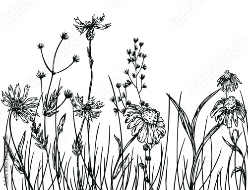 Floral Sketch Hand Drawn Background, Wild Flowers © Artalia