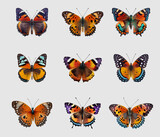 Collection of multicolored butterflies. Vector illustration. Tropical butterflies set isolated on a white background. Collection of realistic colorful butterflies for design.