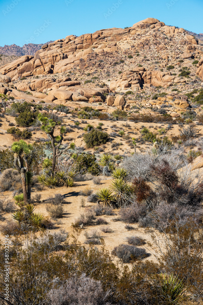Boulder and Rock Formations at Joshua Tree National Park, California Boulder and Rock Formations at Joshua Tree National Park, California