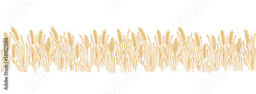 Cereal agriculture field. Vector line. Editable outline stroke.