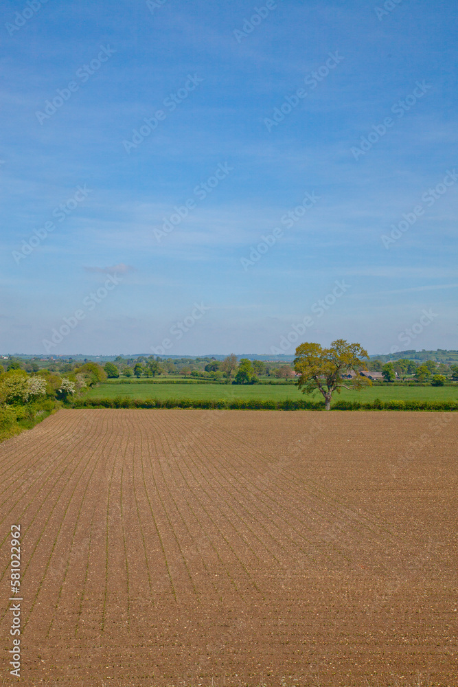 Vertical format picture of idyllic flat countryside with a large ploughed field in the foreground