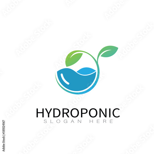 Hydroponic Vegetable Logo Design Vector