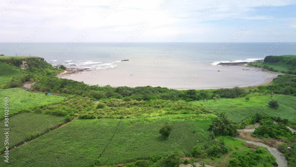 Hidden Beach Facing the Ocean With Agricultural Fields Of Corn Maize And Rice At Foreground In Sumbawa island, Indonesia. Drone Aerial 4k Hidden Beach Facing the Ocean With Agricultural Fields Of Corn Maize And Rice At Foreground In Sumbawa island, Indonesia. Drone Aerial 4k
