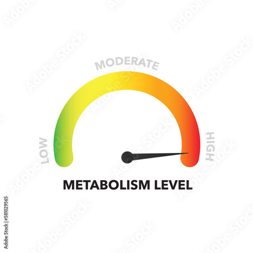 Color indicator of metabolism. Measuring gauge with low moderate and high