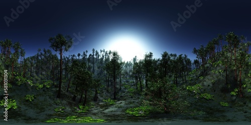 HDRI  environment map   Round panorama  spherical panorama  equidistant projection  panorama 360  Forest and swamp  3d rendering