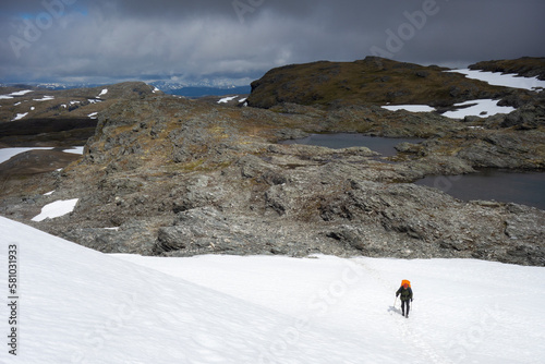 Traveler hikes through Hardangervidda Park in Norway in summer