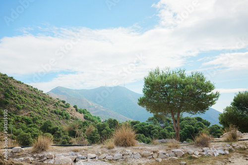 landscape with trees and clouds in Spain