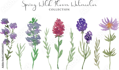 a set of cute hand painted wild flower and leaf watercolor
