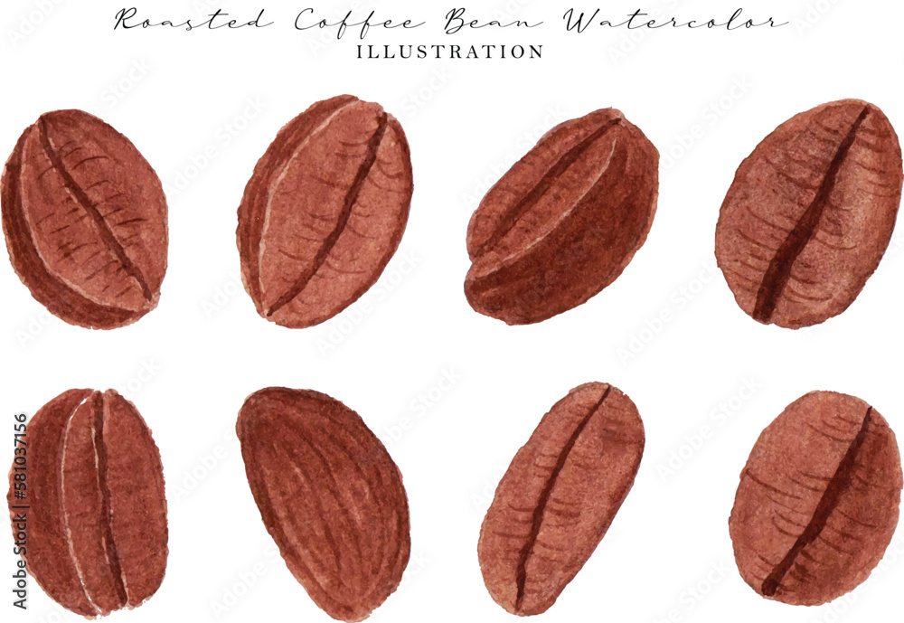 aesthetic coffee bean watercolor illustration collection