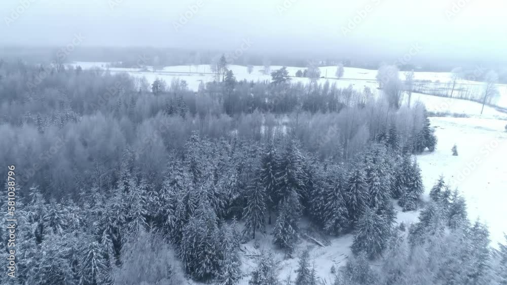 Aerial flyover snow-covered woodland forest during snowy winter with clouds at sky