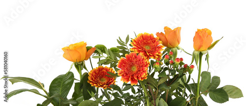 Border of Gerberas, Roses and Green Chrysanthemum isolated on white background. Arrangement of orange flowers and leaves.