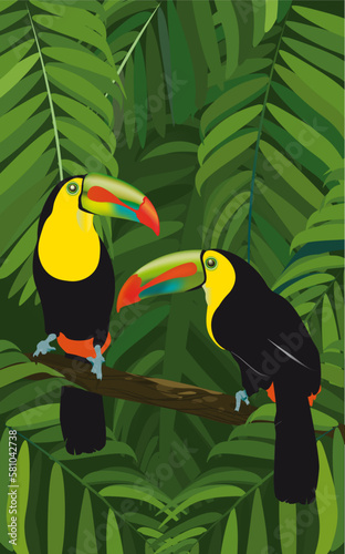 Deux toucans posés sur une branche au milieu de feuilles tropicales