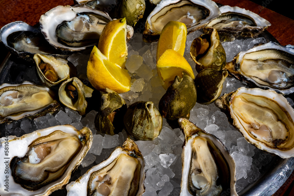 Fresh oysters and whelk platter with lemon on the ice. Fresh oysters and whelk platter with lemon on the ice.