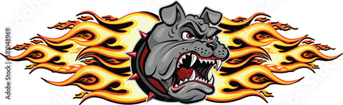 Angry bulldog head in flame of fireball