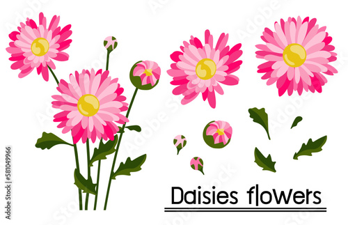 Pink daisy background.Eps 10 vector.