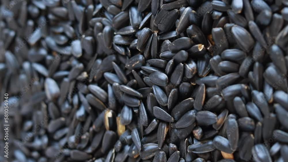 Roasted sunflower seeds, healthy food. Sunflower seeds after harvest. Heap of dried unpeeled sunflower seeds. The seeds fall into a heap Roasted sunflower seeds, healthy food. Sunflower seeds after harvest. Heap of dried unpeeled sunflower seeds. The seeds fall into a heap