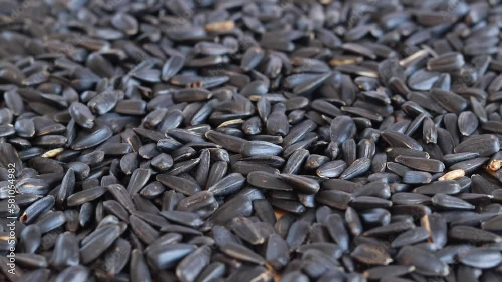 Roasted sunflower seeds, healthy food. Sunflower seeds after harvest. Heap of dried unpeeled sunflower seeds. The seeds fall into a heap Roasted sunflower seeds, healthy food. Sunflower seeds after harvest. Heap of dried unpeeled sunflower seeds. The seeds fall into a heap