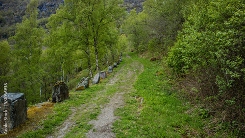 Stara Droga Królewska w okolicach Leardal w Norwegii photo