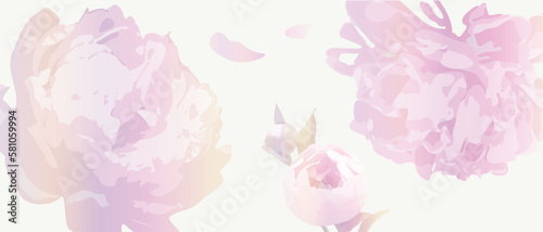 Fototapeta Naklejka Na Ścianę i Meble -  White background with gentle pink peony flowers, stock illustration