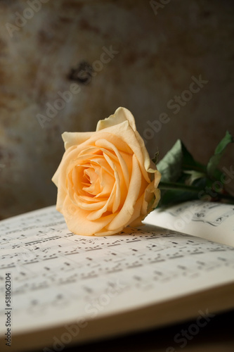  Yellow rose on open music notebook with music notes. Background of music notes sheet. Copy space, soft focus