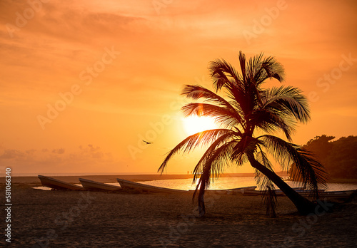 Silhouettes of palm tree and amazing cloudy sky on sunset at tropical sea with boats