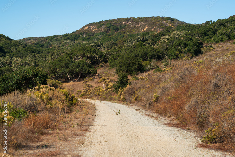 Army Built Road, Fort Ord National Monument Army Built Road, Fort Ord National Monument